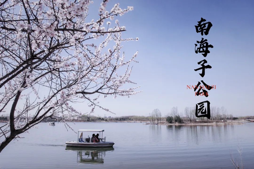 南海子游园 | 五一假期，，，，，，请收好这份攻略